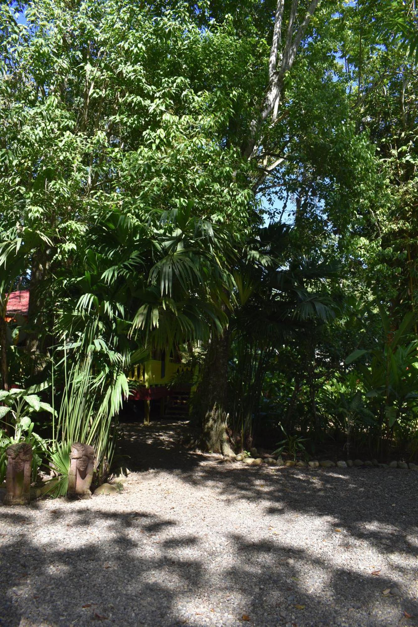 El Jardin De Playa Negra Villa Puerto Viejo de Talamanca Exterior photo