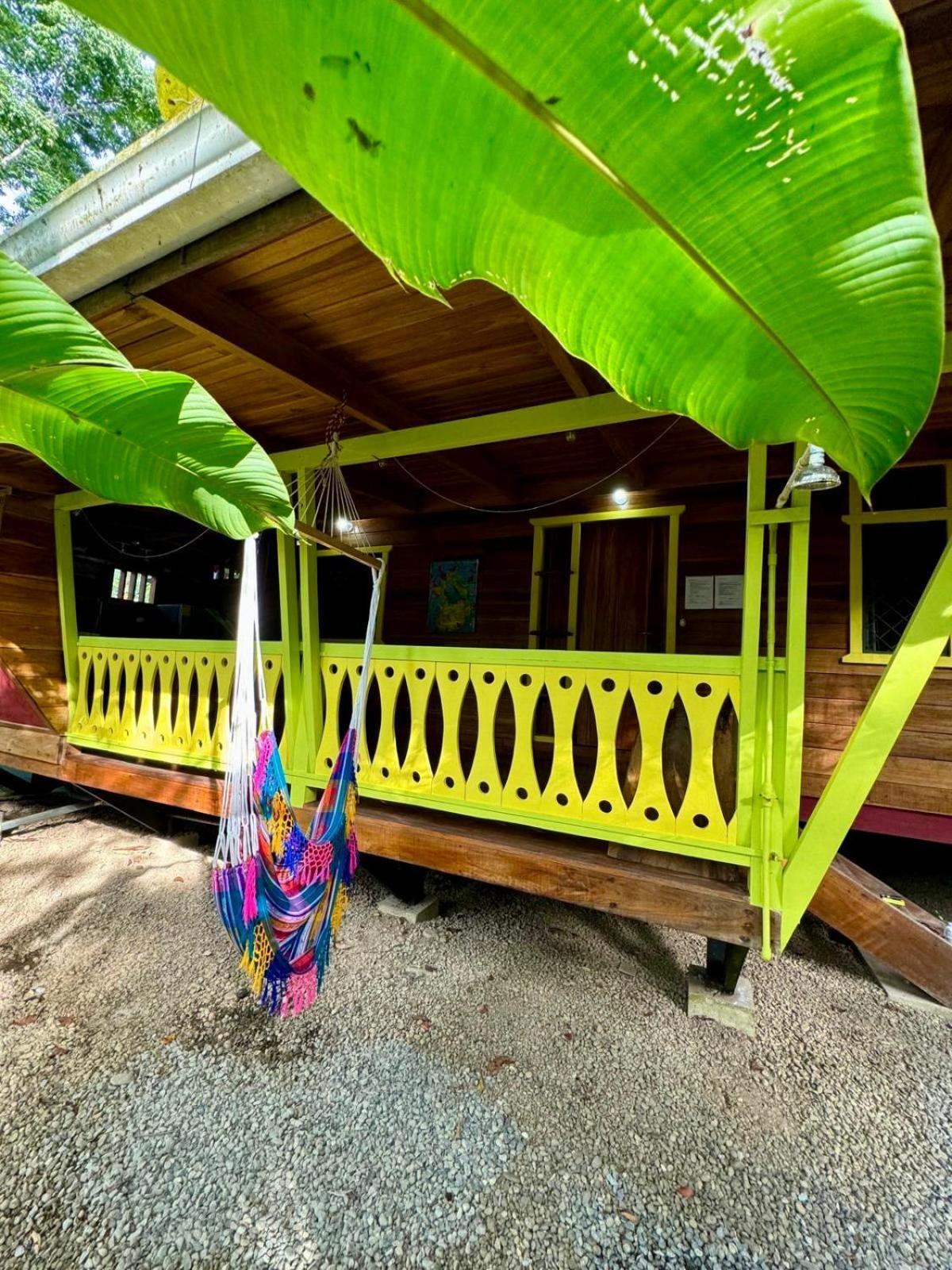 El Jardin De Playa Negra Villa Puerto Viejo de Talamanca Exterior photo