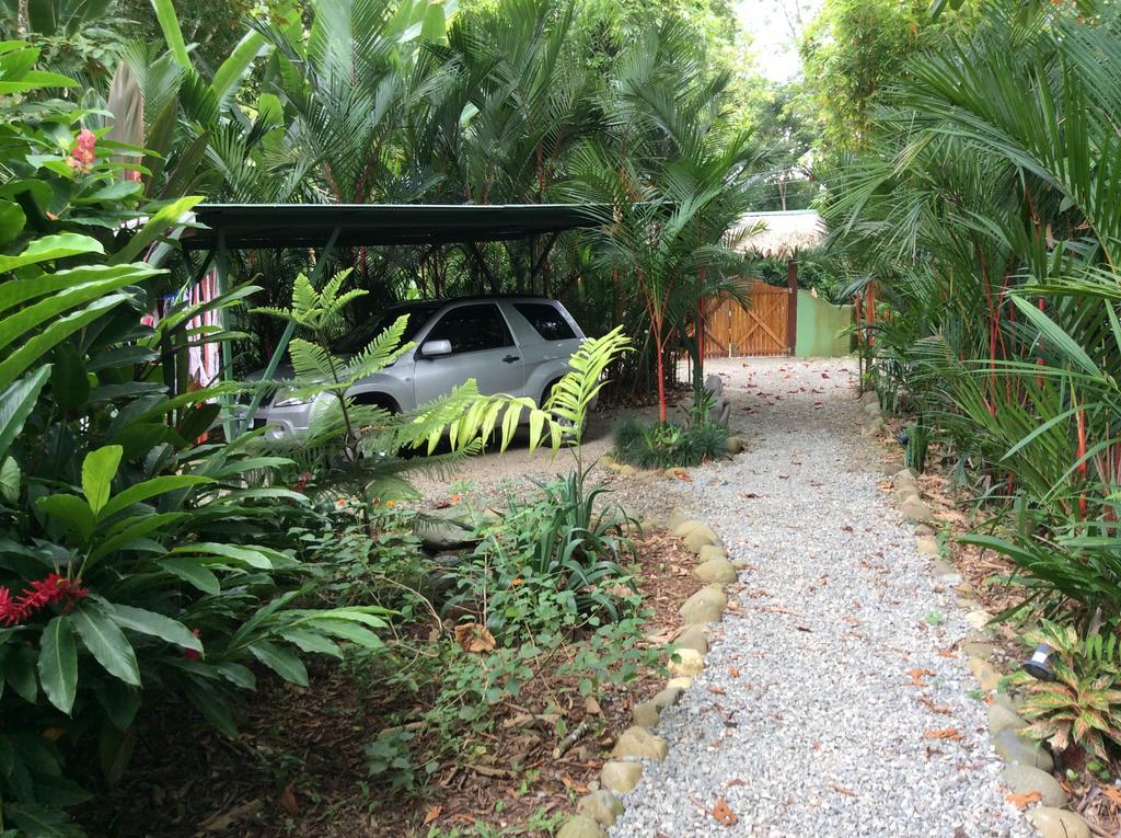 El Jardin De Playa Negra Villa Puerto Viejo de Talamanca Exterior photo