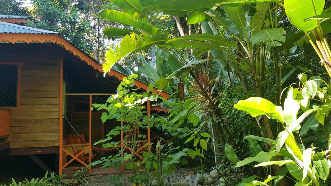 El Jardin De Playa Negra Villa Puerto Viejo de Talamanca Exterior photo